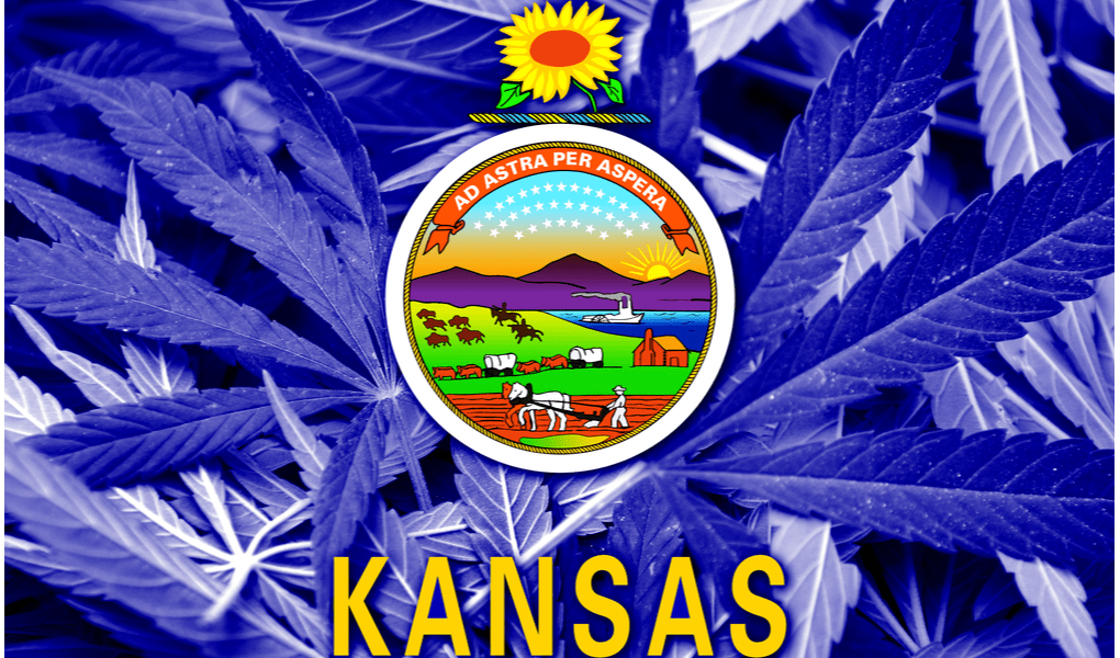Delta-8-THC-In-Kansas
