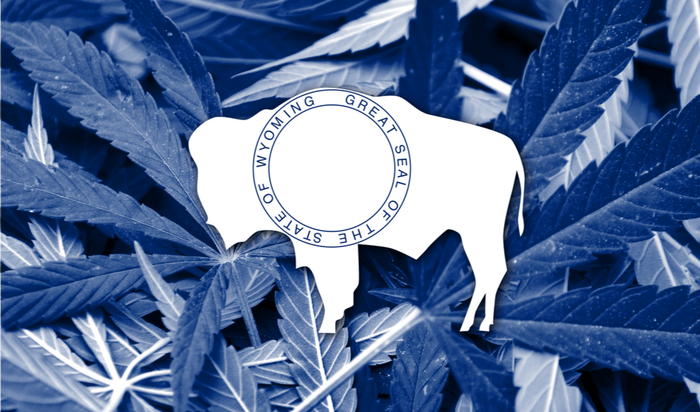 DELTA 8 THC IN WYOMING: IS IT LEGAL & WHERE TO BUY IT IN 2022?