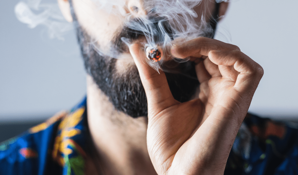 WHAT HERBS CAN YOU SMOKE WITH WEED_