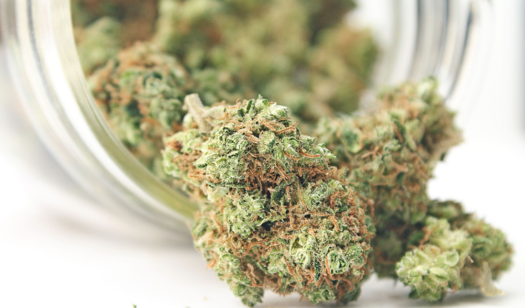 How long does a weed high last in the body and how long do weed effects last_